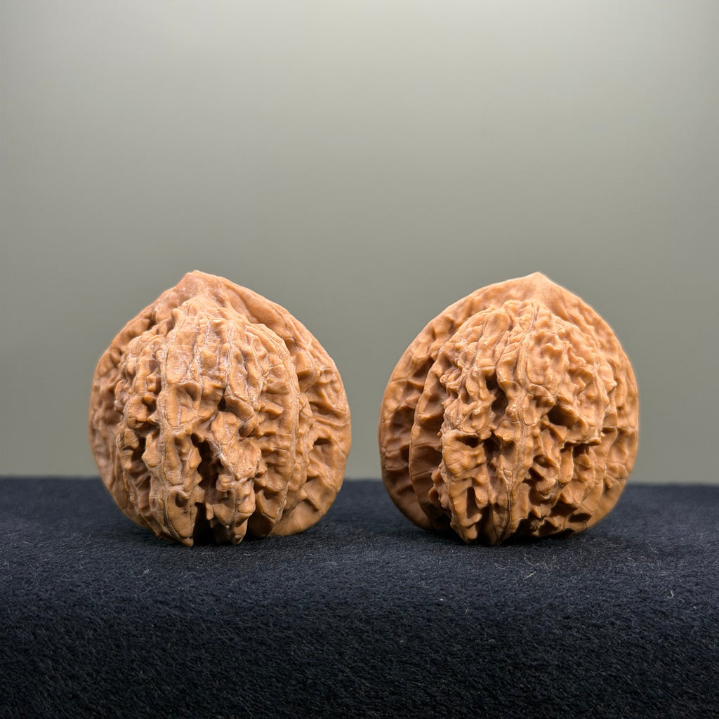 Coiled Dragon Tiger Head Wenwan Walnut · 37mm · Natural · Entry Ritual