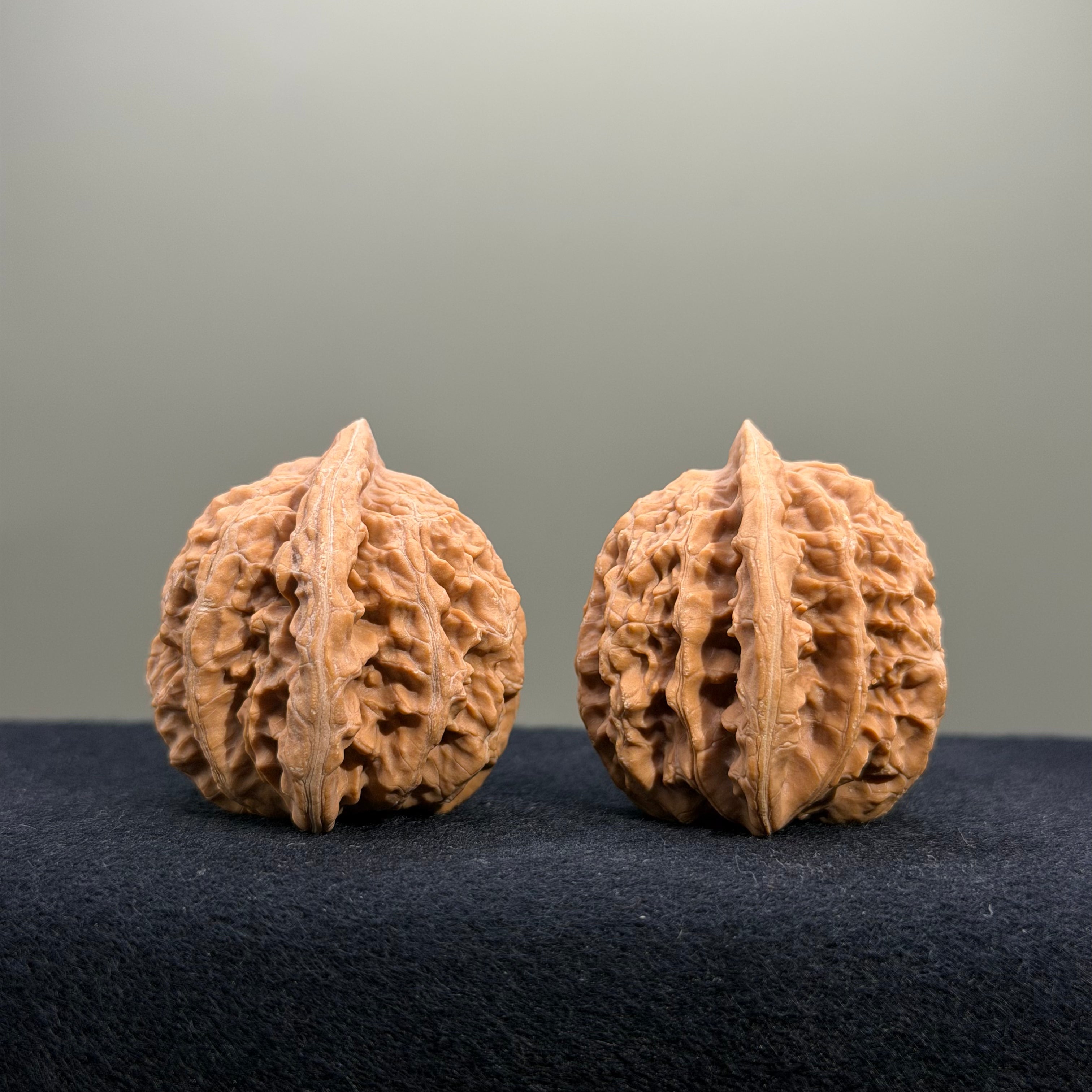 Coiled Dragon Tiger Head Wenwan Walnut · 37mm · Natural · Entry Ritual