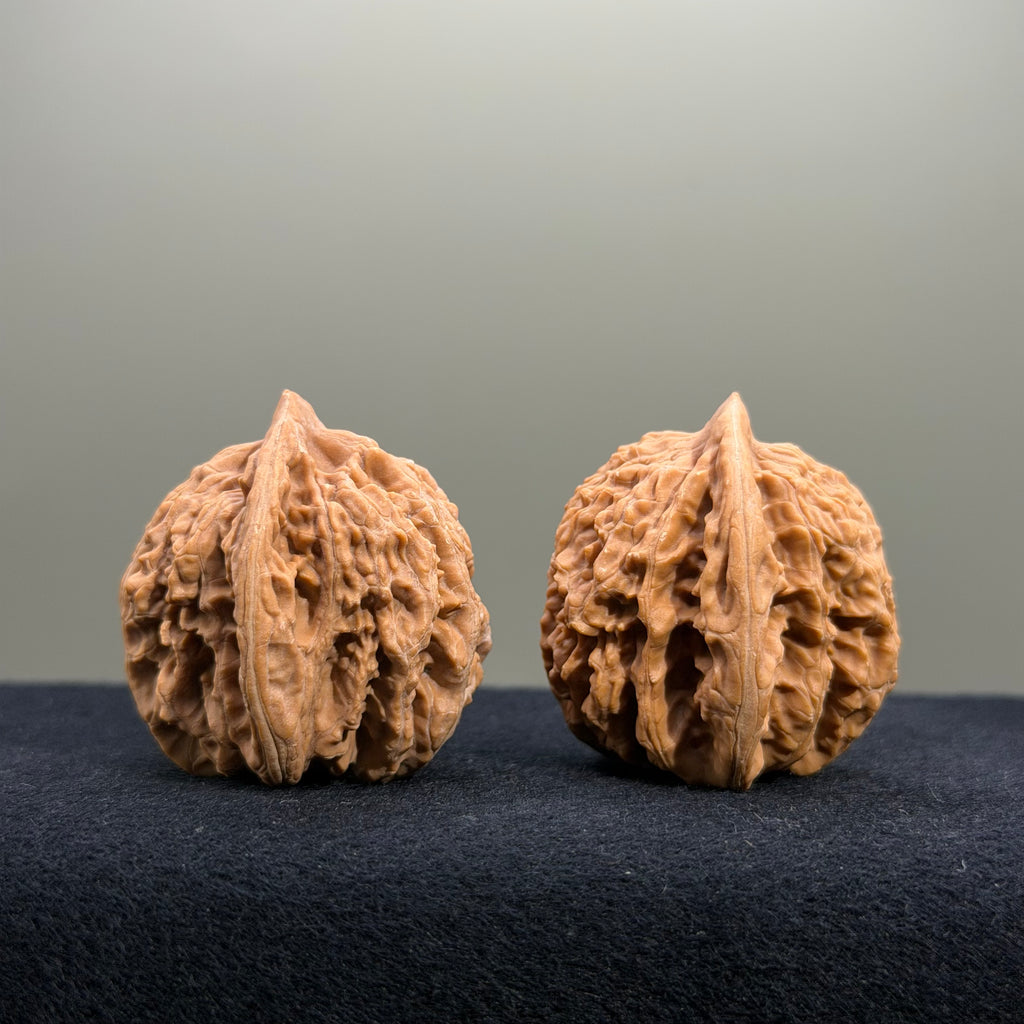 Coiled Dragon Tiger Head Wenwan Walnut · 37mm · Natural · Entry Ritual