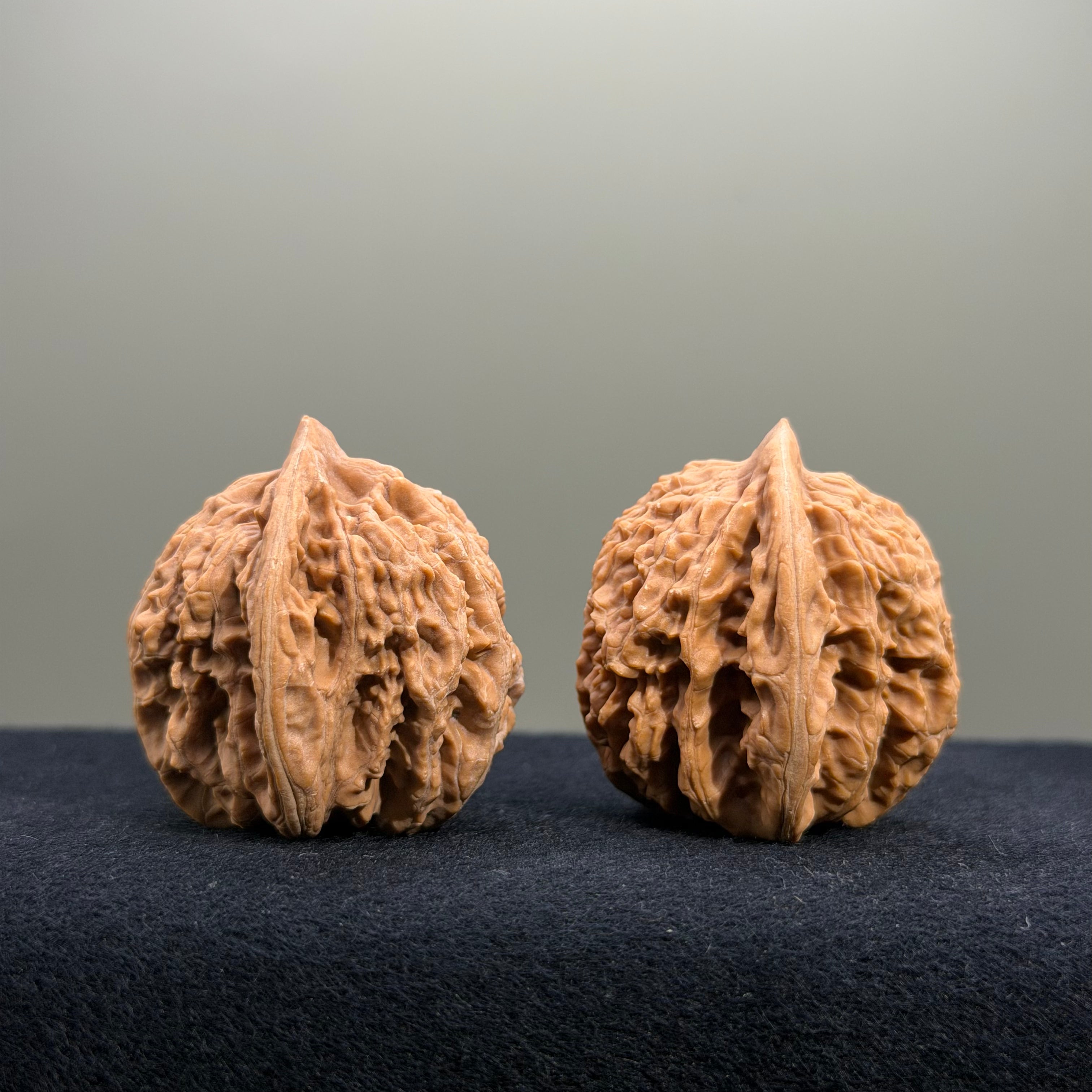 Coiled Dragon Tiger Head Wenwan Walnut · 37mm · Natural · Entry Ritual