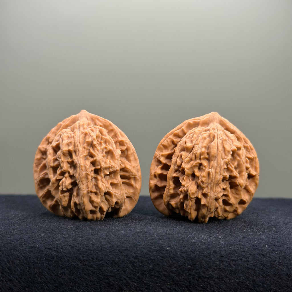Coiled Dragon Tiger Head Wenwan Walnut · 37mm · Natural · Entry Ritual
