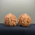 Coiled Dragon Tiger Head Wenwan Walnut · 37mm · Natural · Entry Ritual