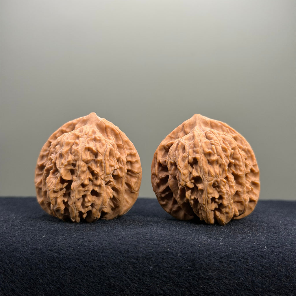 Coiled Dragon Tiger Head Wenwan Walnut · 37mm · Natural · Entry Ritual