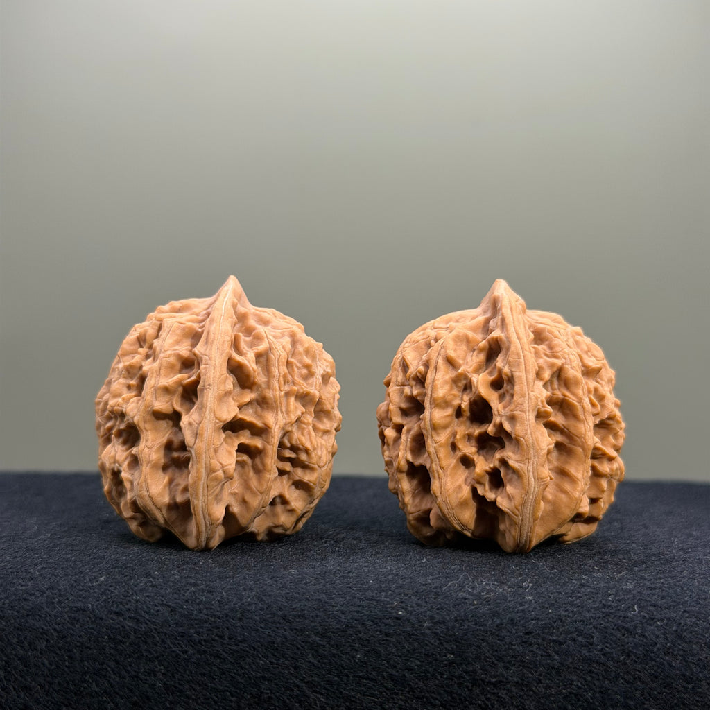 Coiled Dragon Tiger Head Wenwan Walnut · 37mm · Natural · Entry Ritual