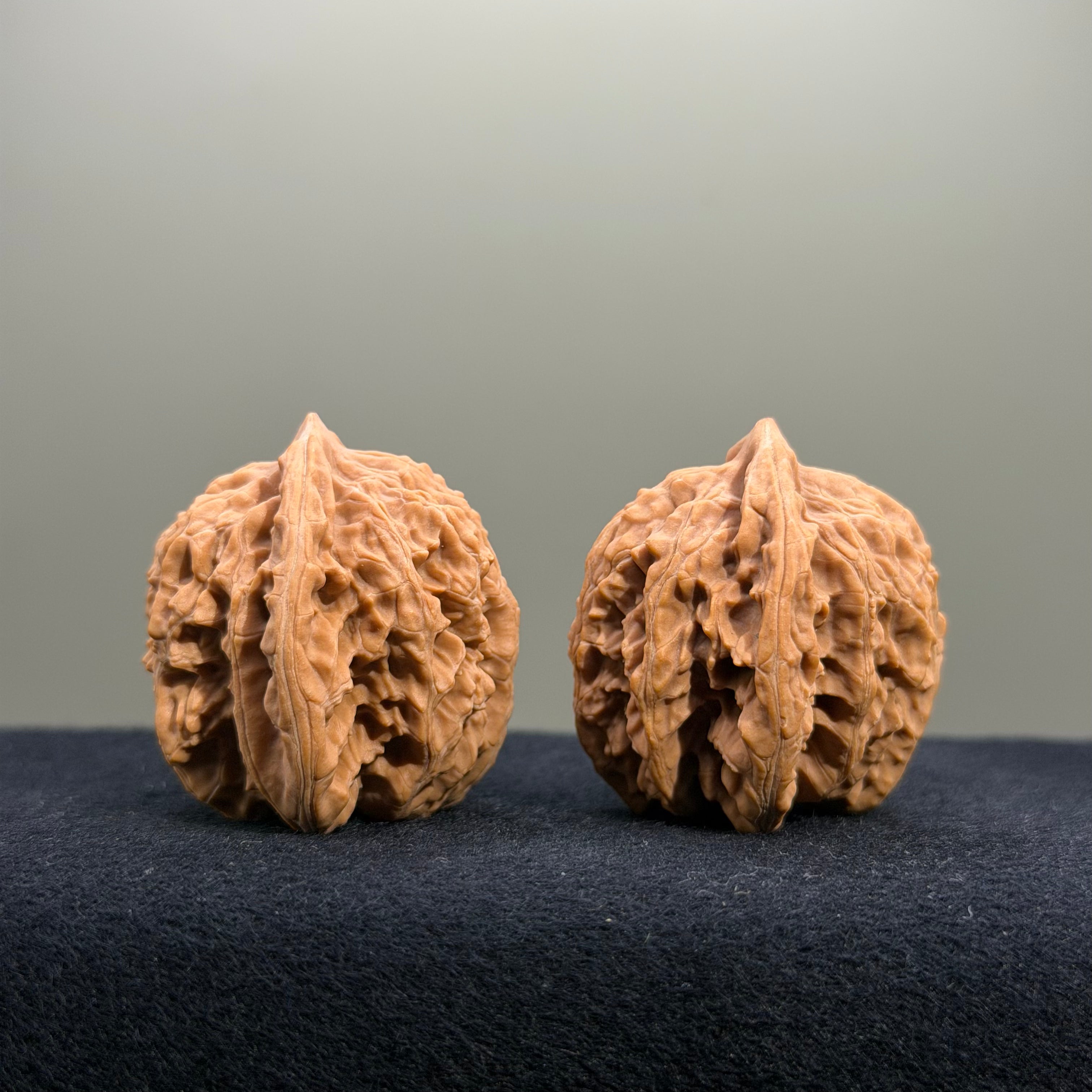 Coiled Dragon Tiger Head Wenwan Walnut · 37mm · Natural · Entry Ritual