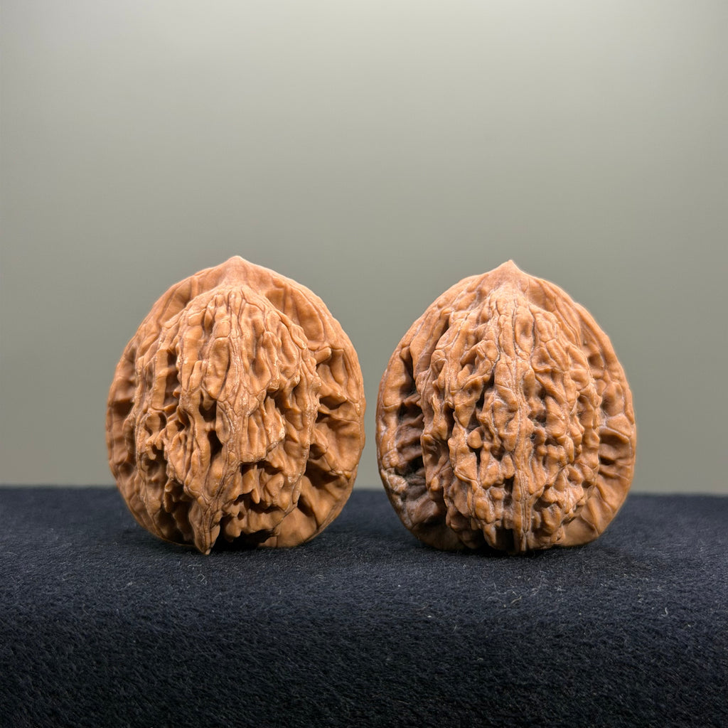 Coiled Dragon Tiger Head Wenwan Walnut · 36mm · Natural · Entry Ritual