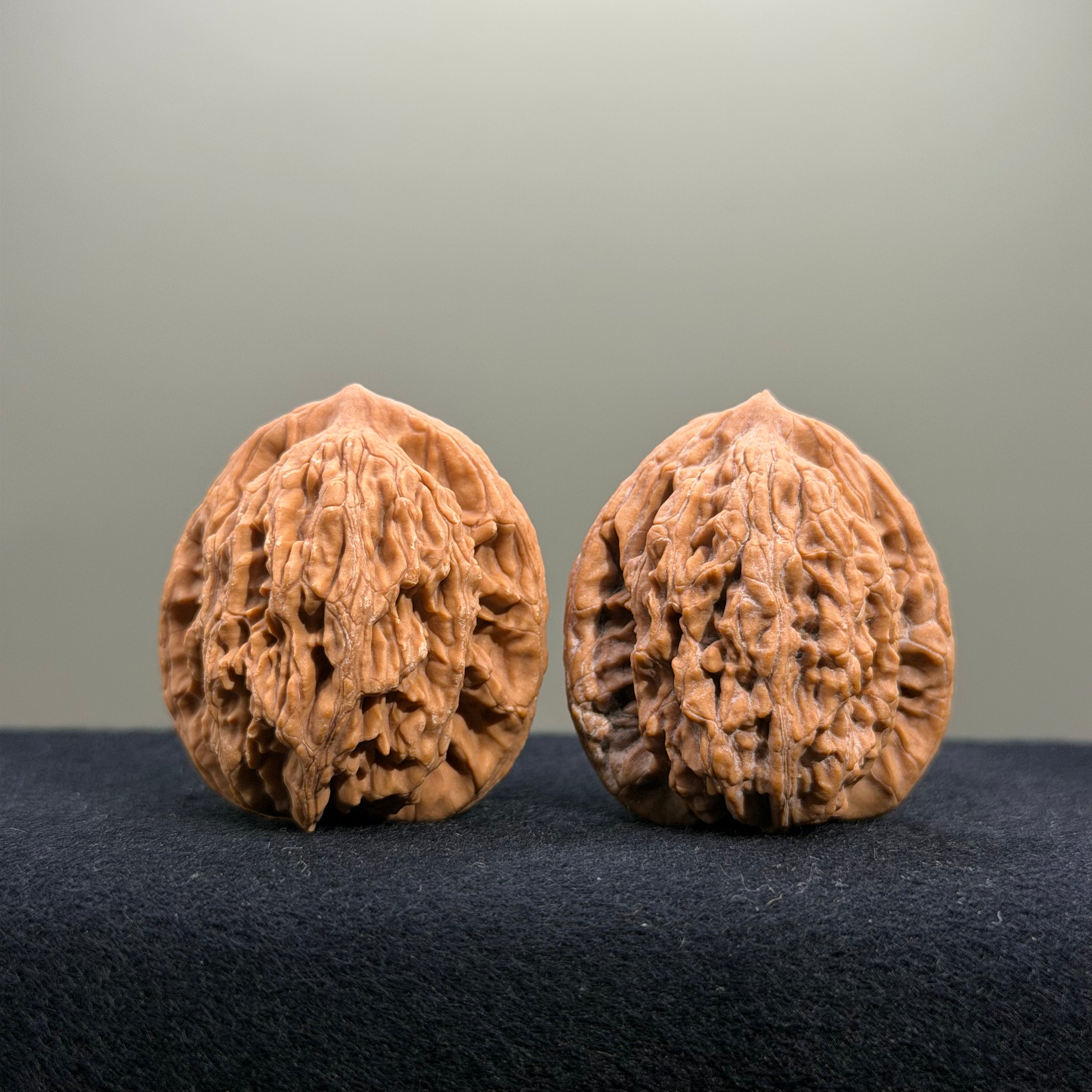 Coiled Dragon Tiger Head Wenwan Walnut · 36mm · Natural · Entry Ritual