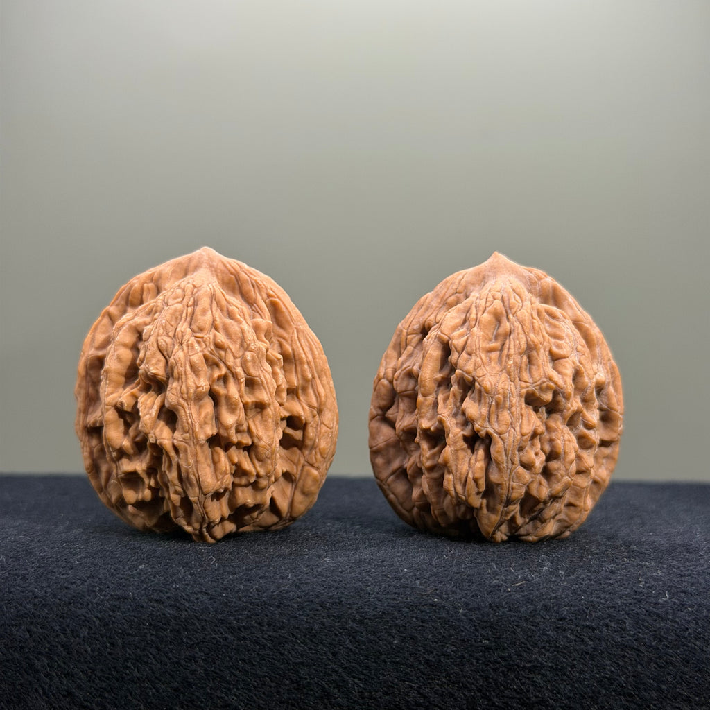 Coiled Dragon Tiger Head Wenwan Walnut · 36mm · Natural · Entry Ritual