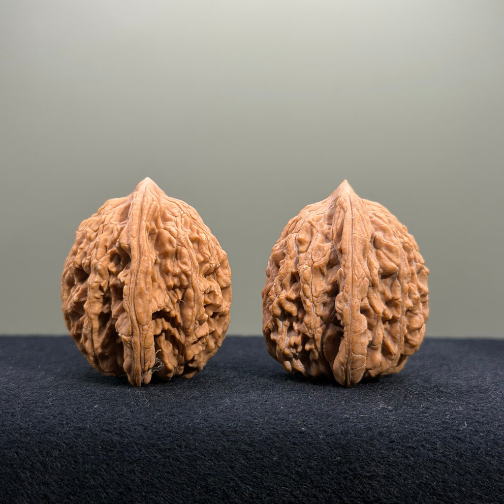 Coiled Dragon Tiger Head Wenwan Walnut · 36mm · Natural · Entry Ritual