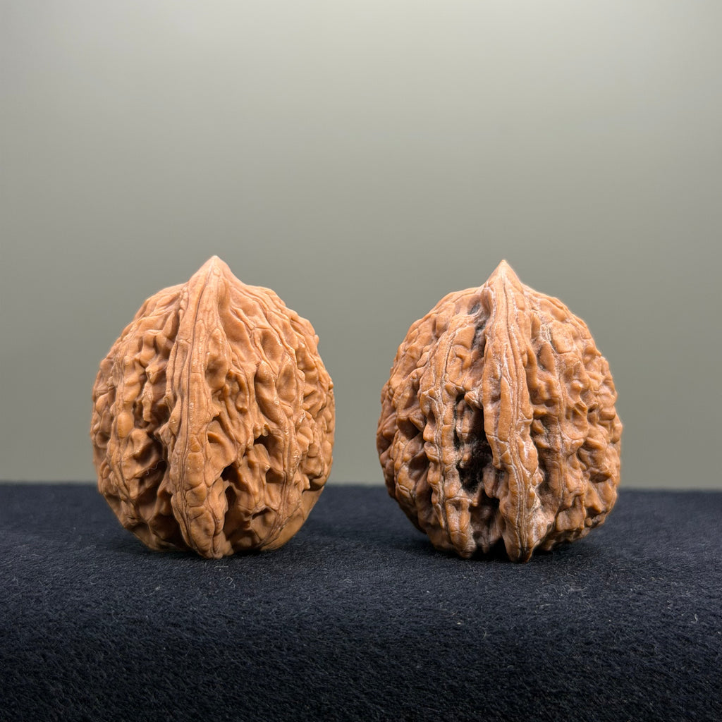 Coiled Dragon Tiger Head Wenwan Walnut · 36mm · Natural · Entry Ritual