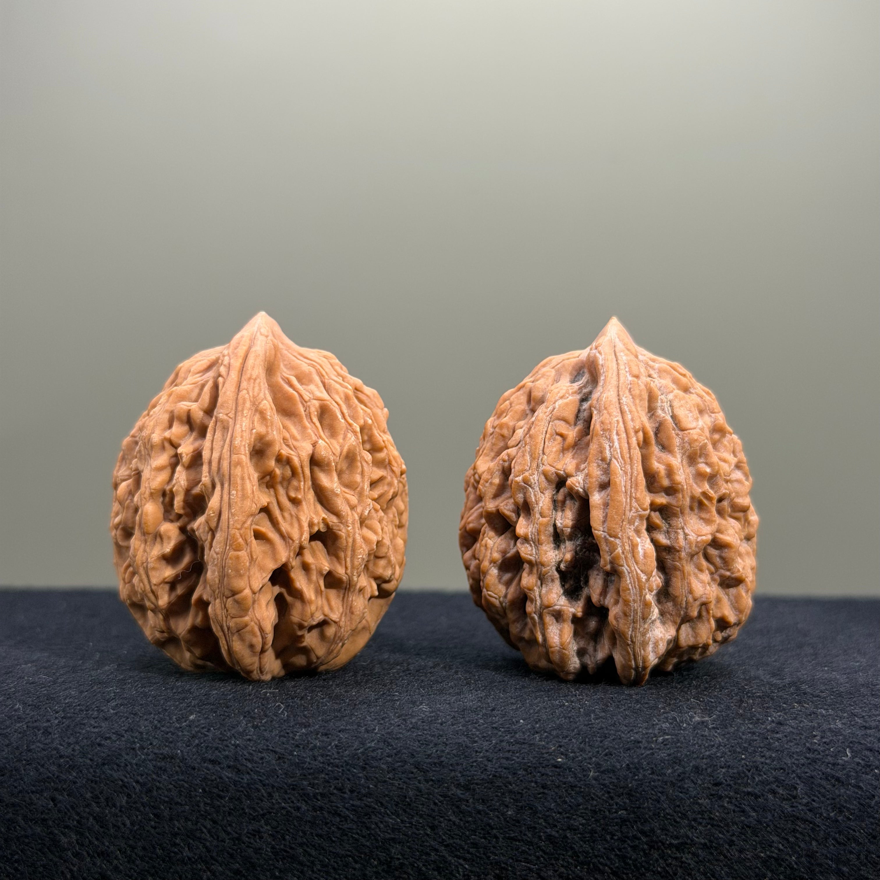 Coiled Dragon Tiger Head Wenwan Walnut · 36mm · Natural · Entry Ritual