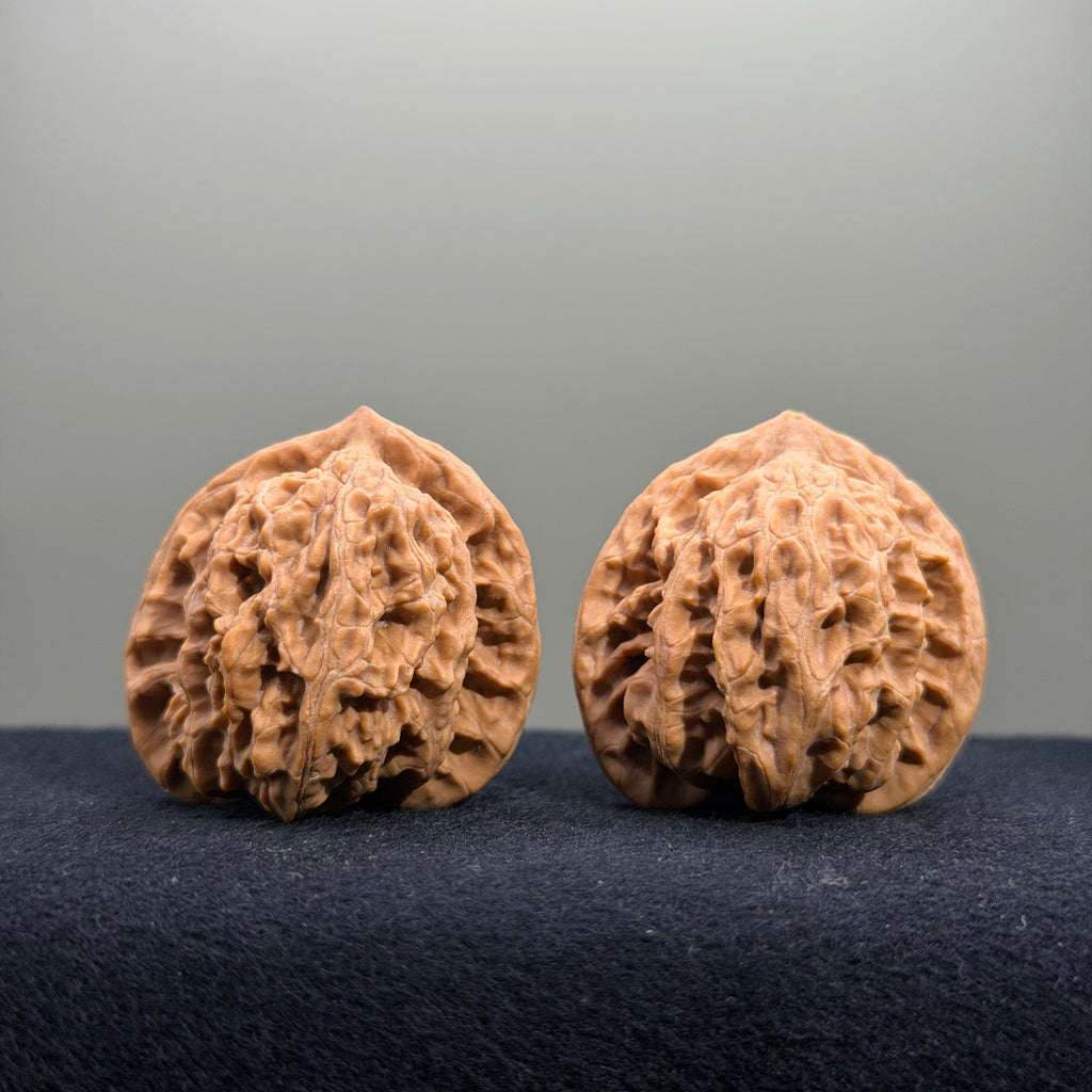 Coiled Dragon Tiger Head Wenwan Walnut · 38mm · Natural · Entry Ritual