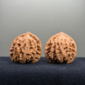 Coiled Dragon Tiger Head Wenwan Walnut · 38mm · Natural · Entry Ritual