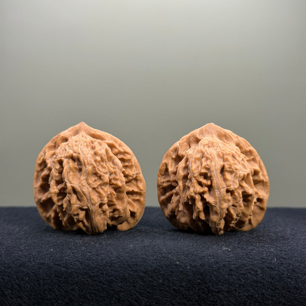 Coiled Dragon Tiger Head Wenwan Walnut · 38mm · Natural · Entry Ritual