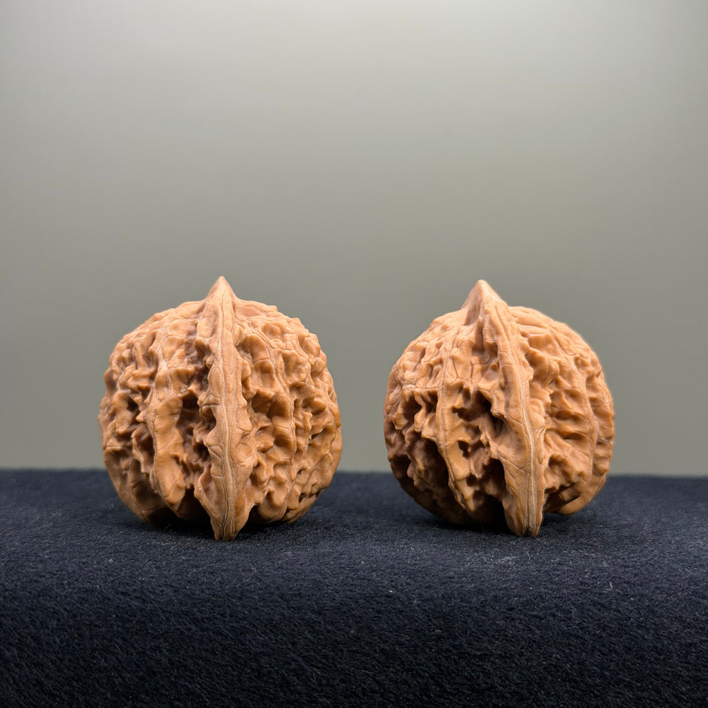 Coiled Dragon Tiger Head Wenwan Walnut · 38mm · Natural · Entry Ritual