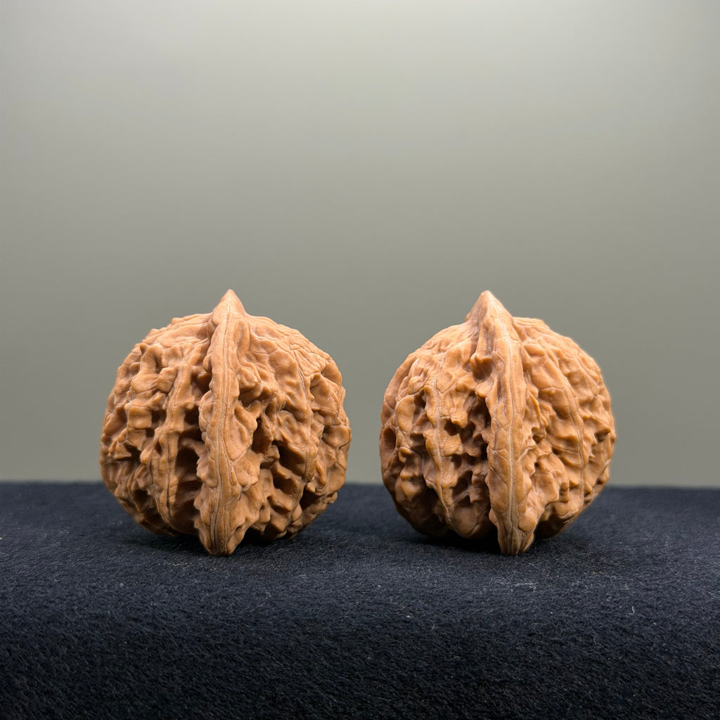 Coiled Dragon Tiger Head Wenwan Walnut · 38mm · Natural · Entry Ritual
