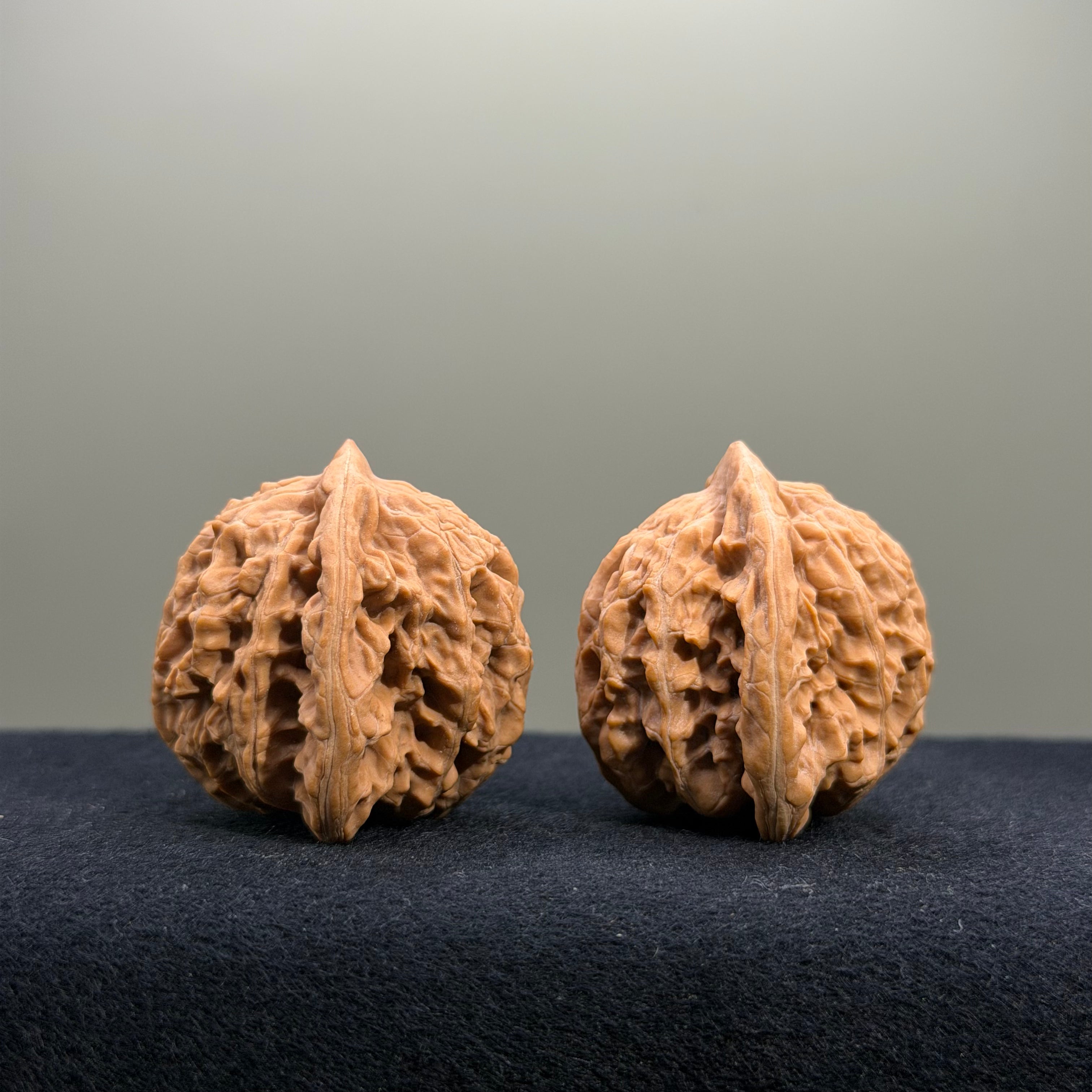 Coiled Dragon Tiger Head Wenwan Walnut · 38mm · Natural · Entry Ritual