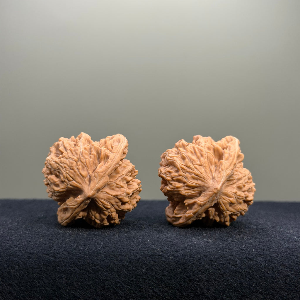 Coiled Dragon Tiger Head Wenwan Walnut · 38mm · Natural · Entry Ritual
