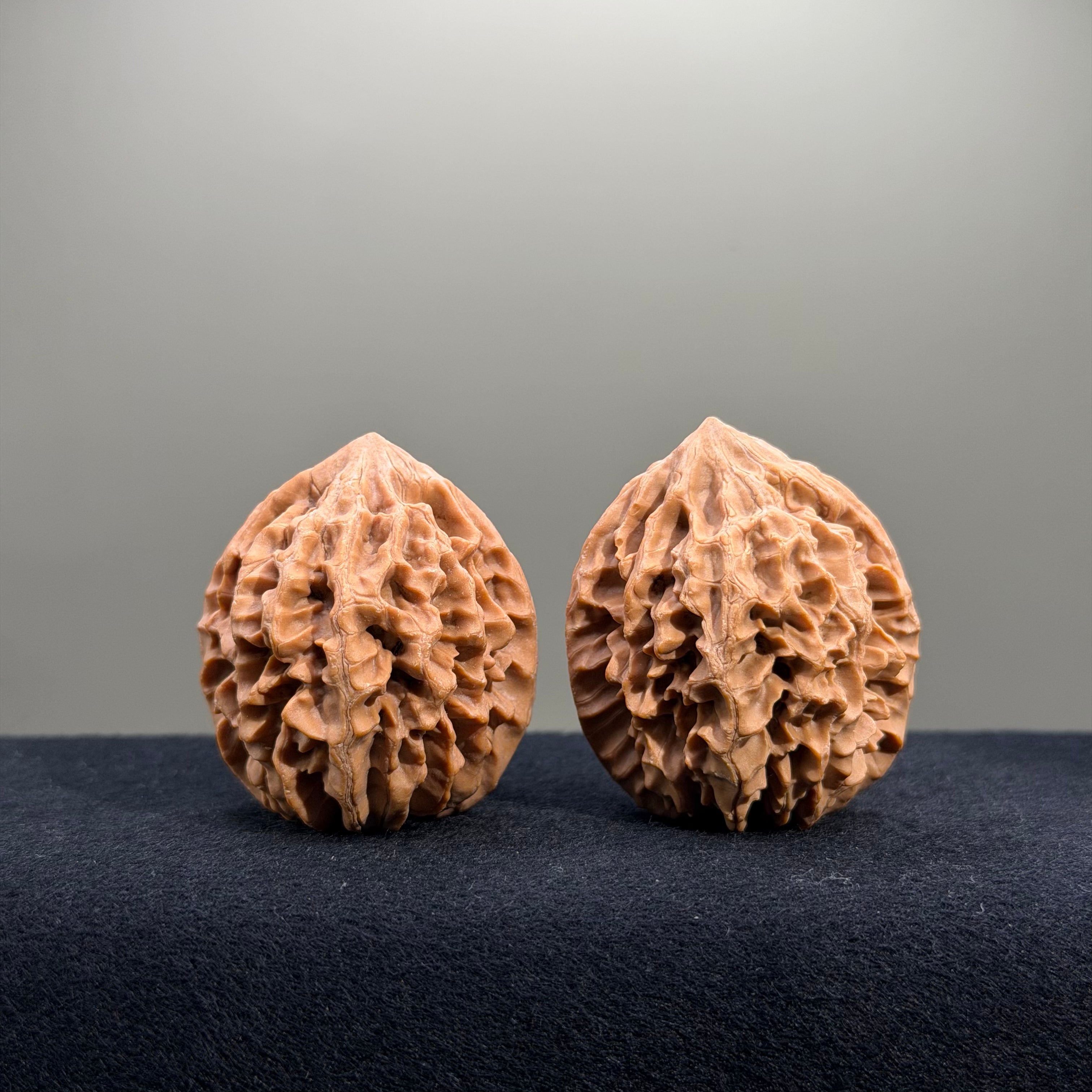 Fortune Rat Wenwan Walnut · 40mm · Natural · Select Ritual