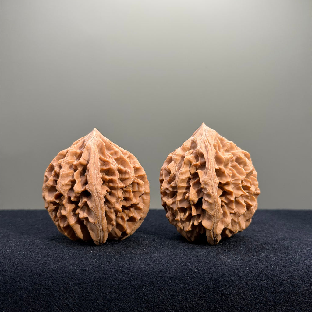 Fortune Rat Wenwan Walnut · 40mm · Natural · Select Ritual