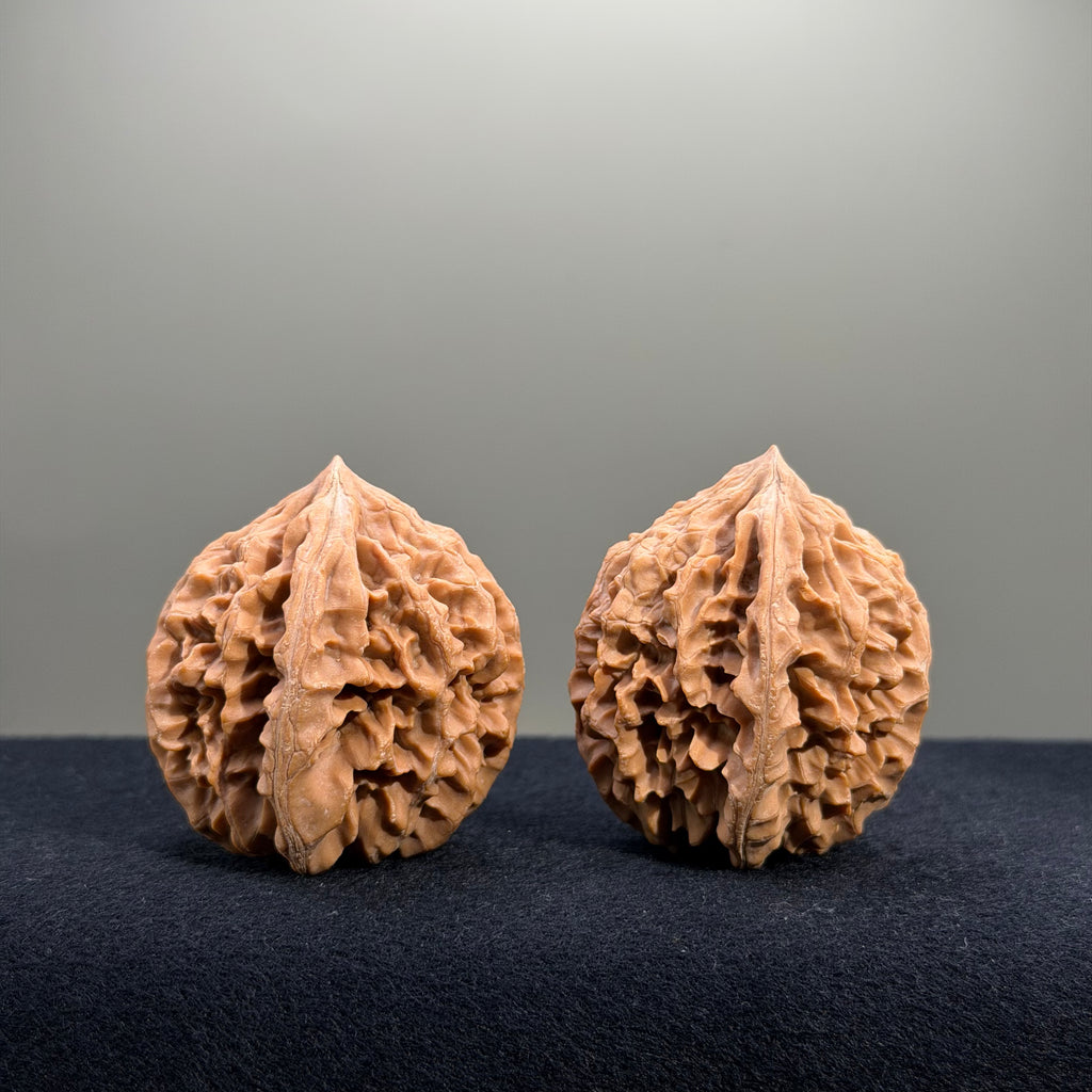 Fortune Rat Wenwan Walnut · 40mm · Natural · Select Ritual