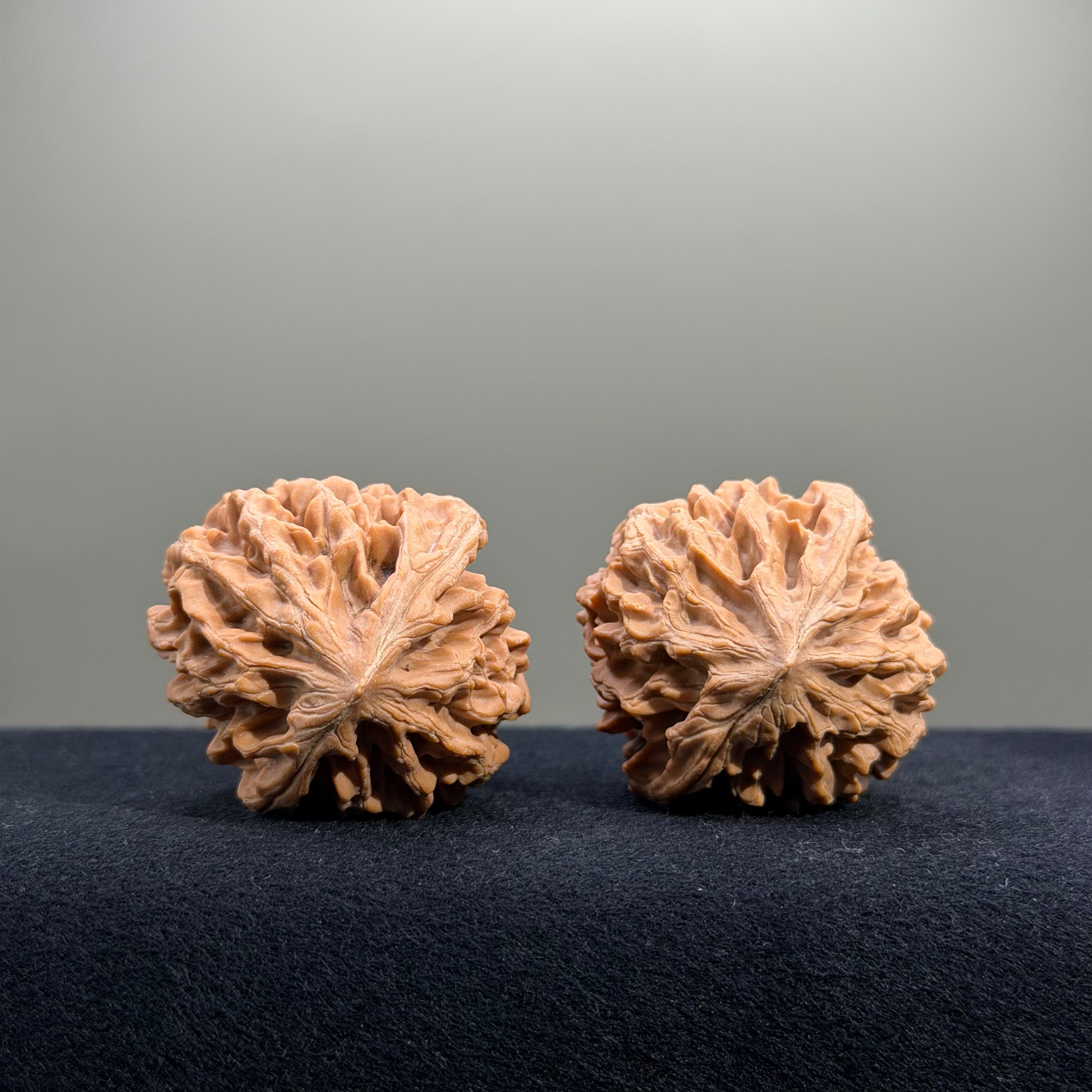 Fortune Rat Wenwan Walnut · 40mm · Natural · Select Ritual