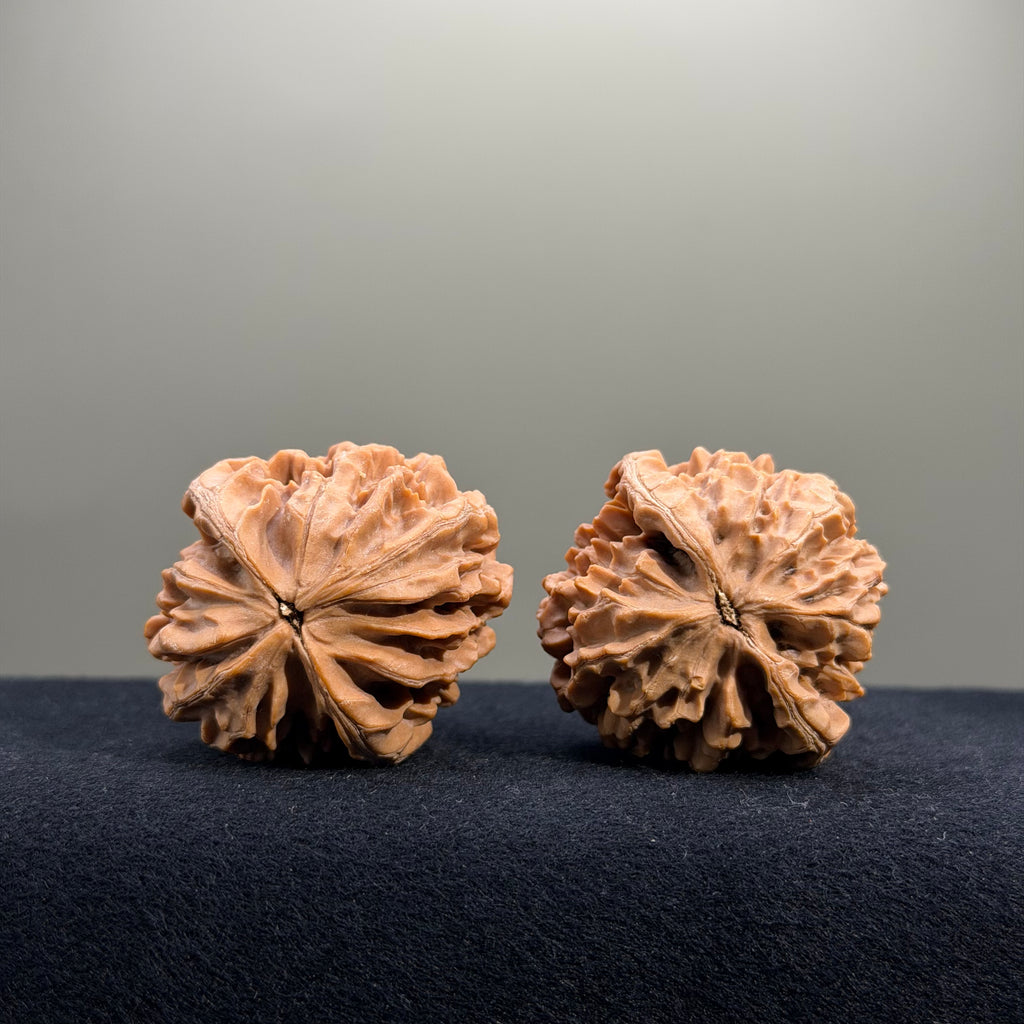 Fortune Rat Wenwan Walnut · 40mm · Natural · Select Ritual