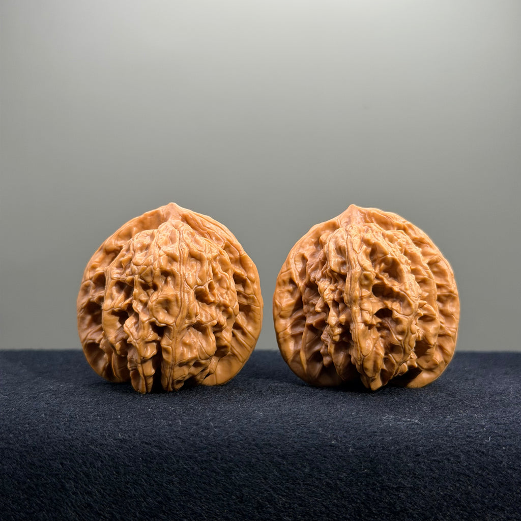 Magma Tiger Head Wenwan Walnut · 40mm · Natural · Entry Ritual