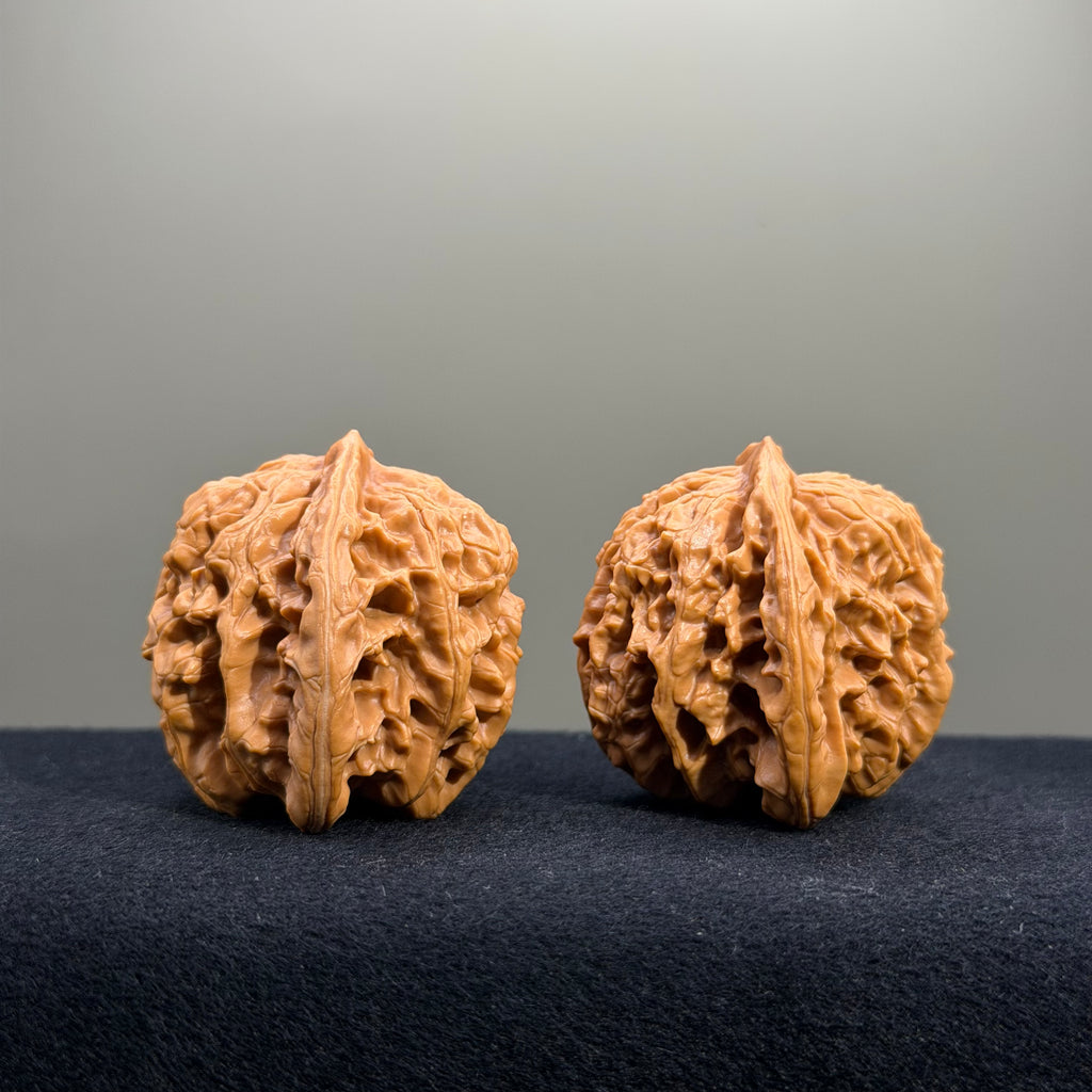 Magma Tiger Head Wenwan Walnut · 40mm · Natural · Entry Ritual