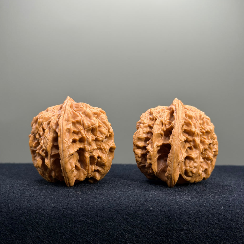 Magma Tiger Head Wenwan Walnut · 40mm · Natural · Entry Ritual
