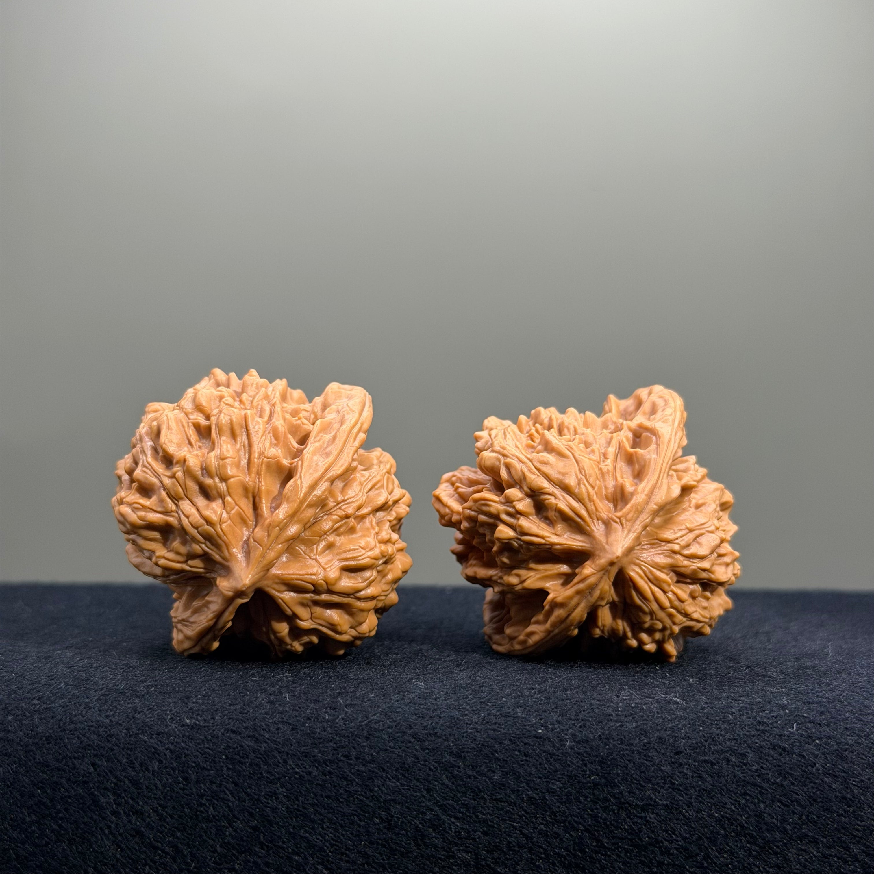 Magma Tiger Head Wenwan Walnut · 40mm · Natural · Entry Ritual