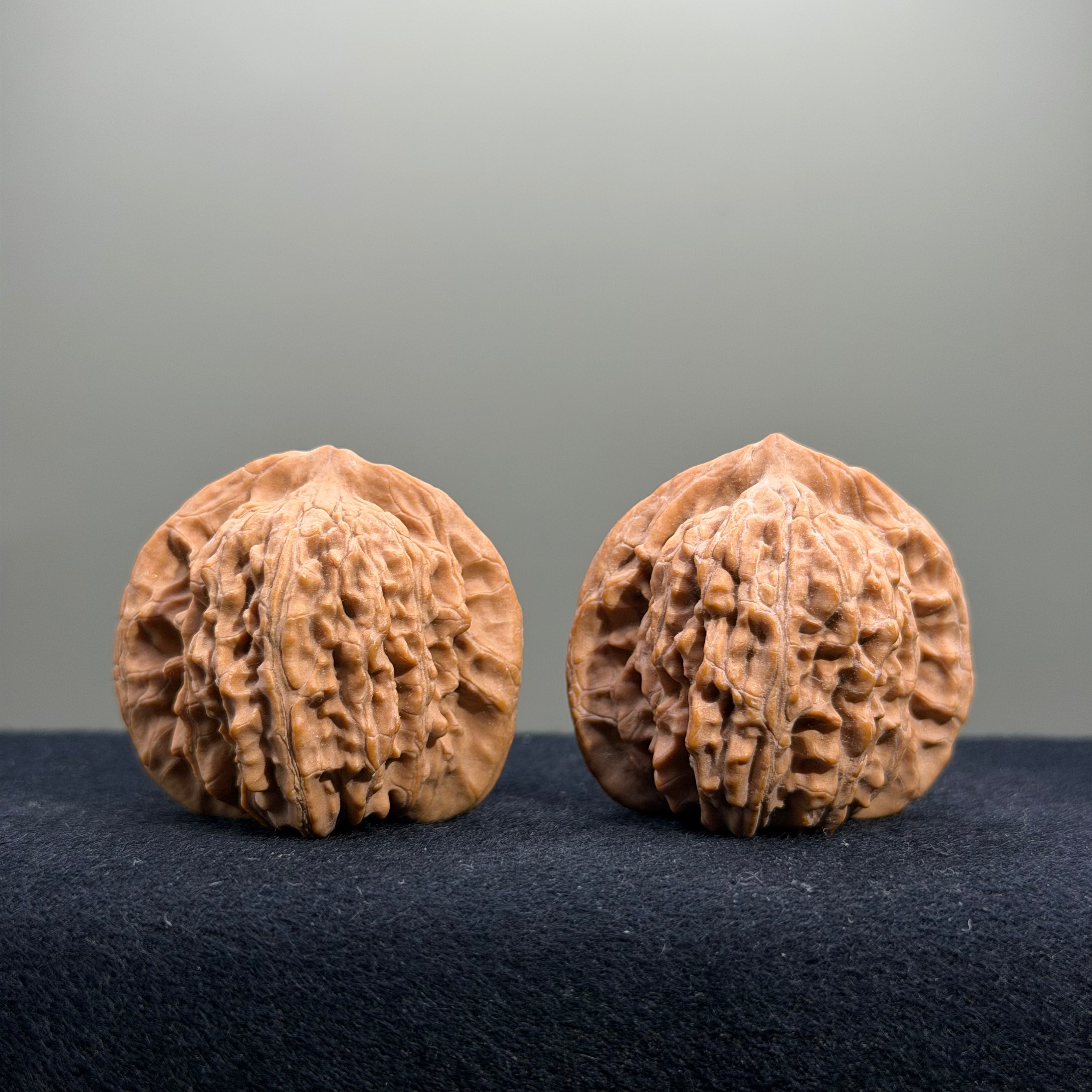 Four Towers Wenwan Walnut · 39mm · Natural · Entry Ritual
