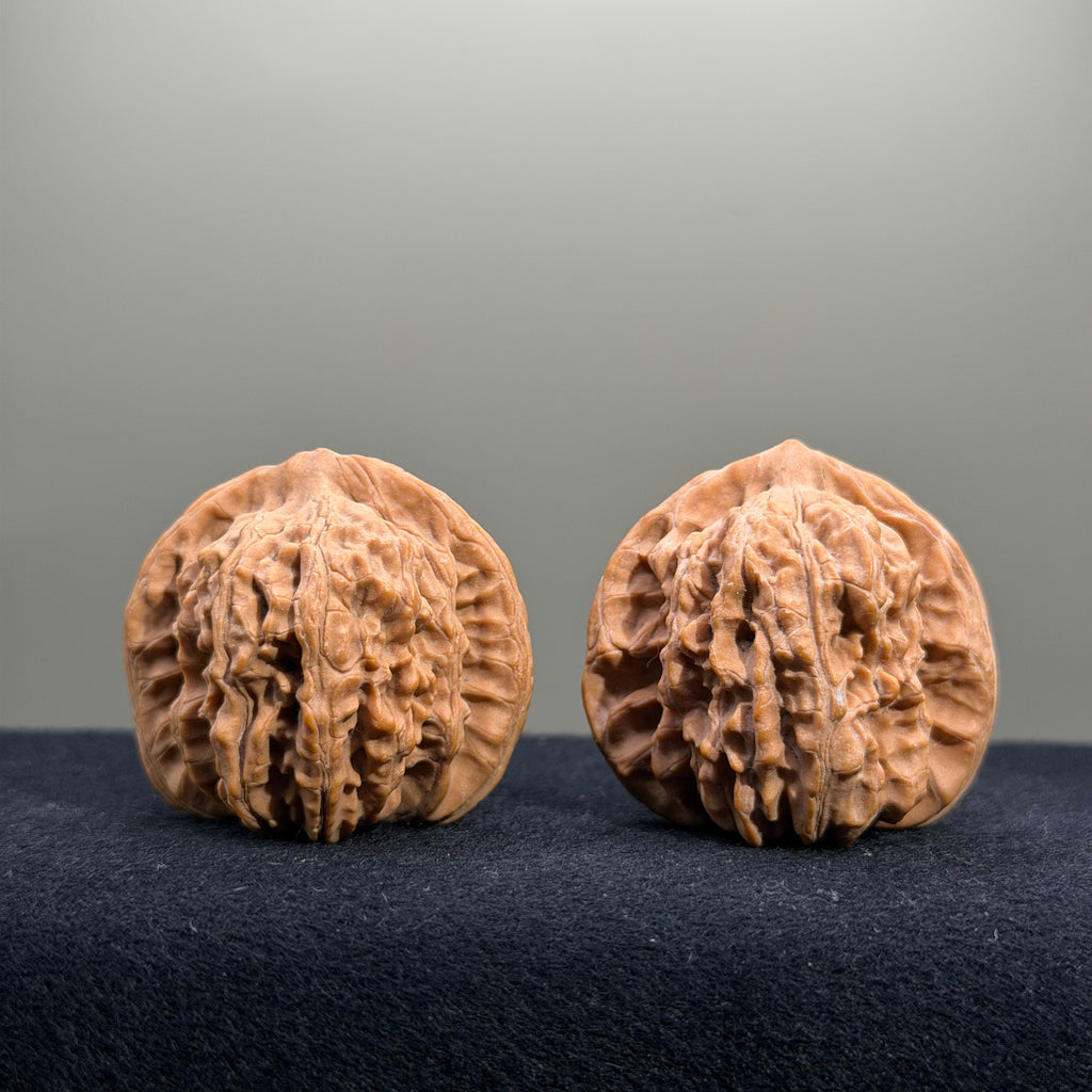 Four Towers Wenwan Walnut · 39mm · Natural · Entry Ritual