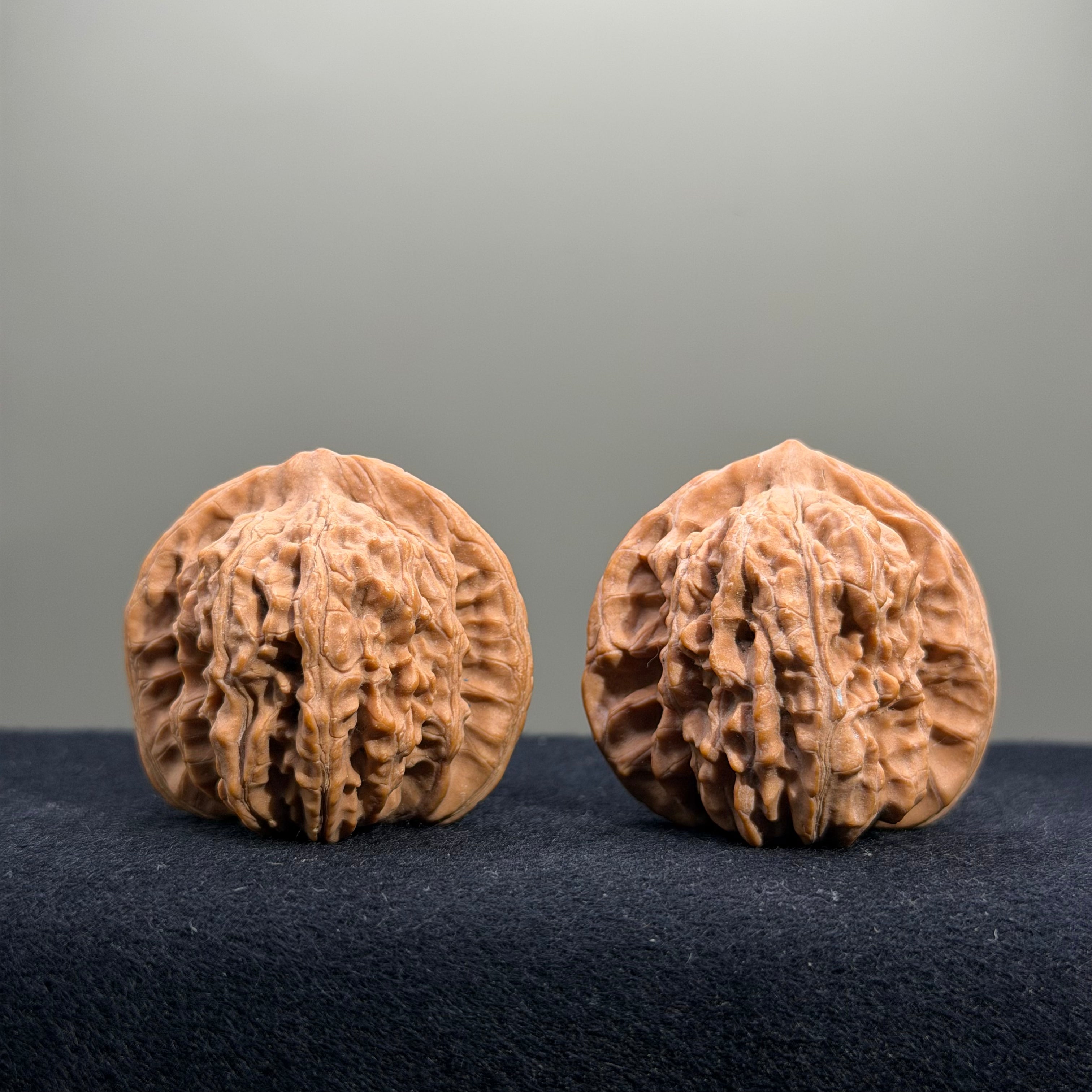 Four Towers Wenwan Walnut · 39mm · Natural · Entry Ritual