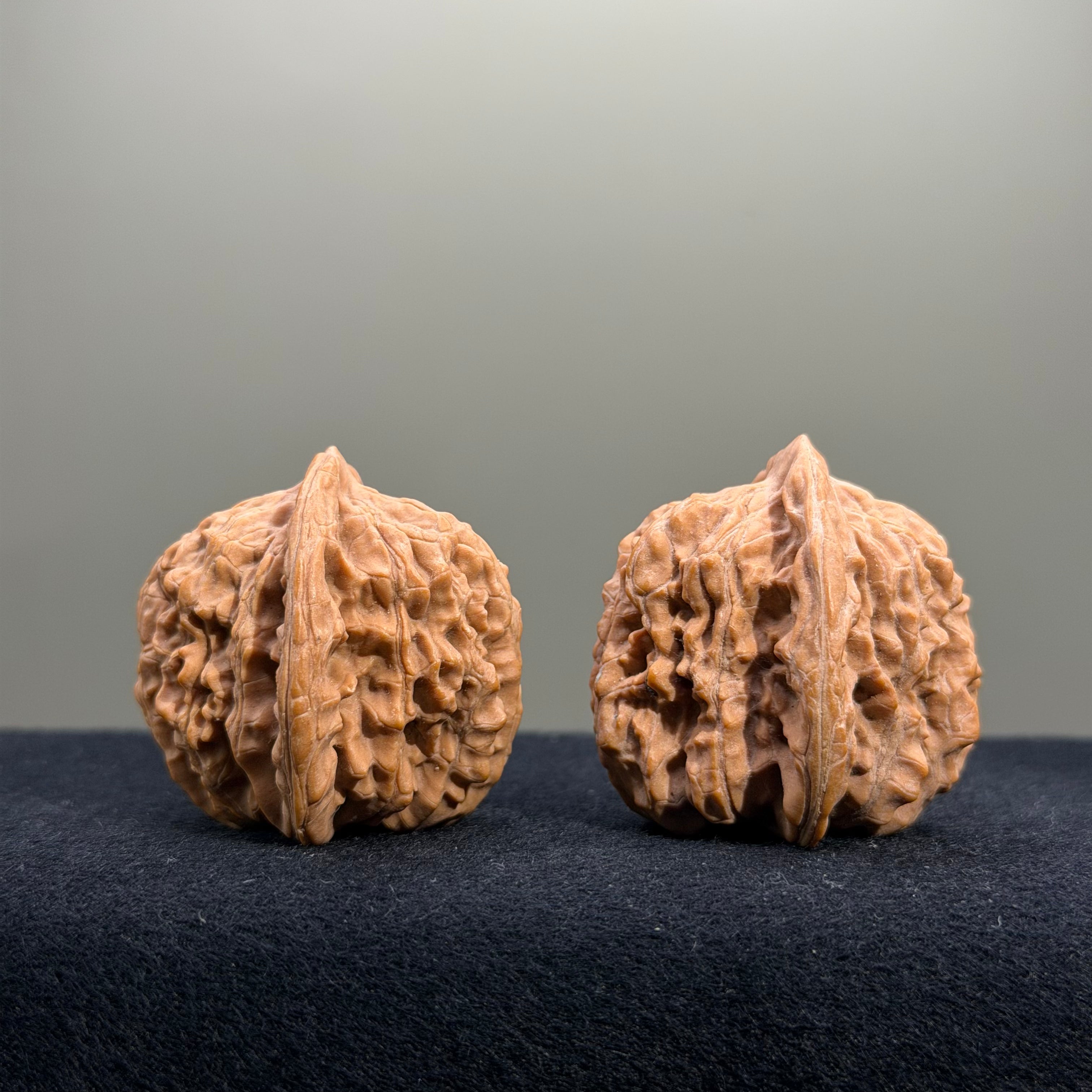 Four Towers Wenwan Walnut · 39mm · Natural · Entry Ritual