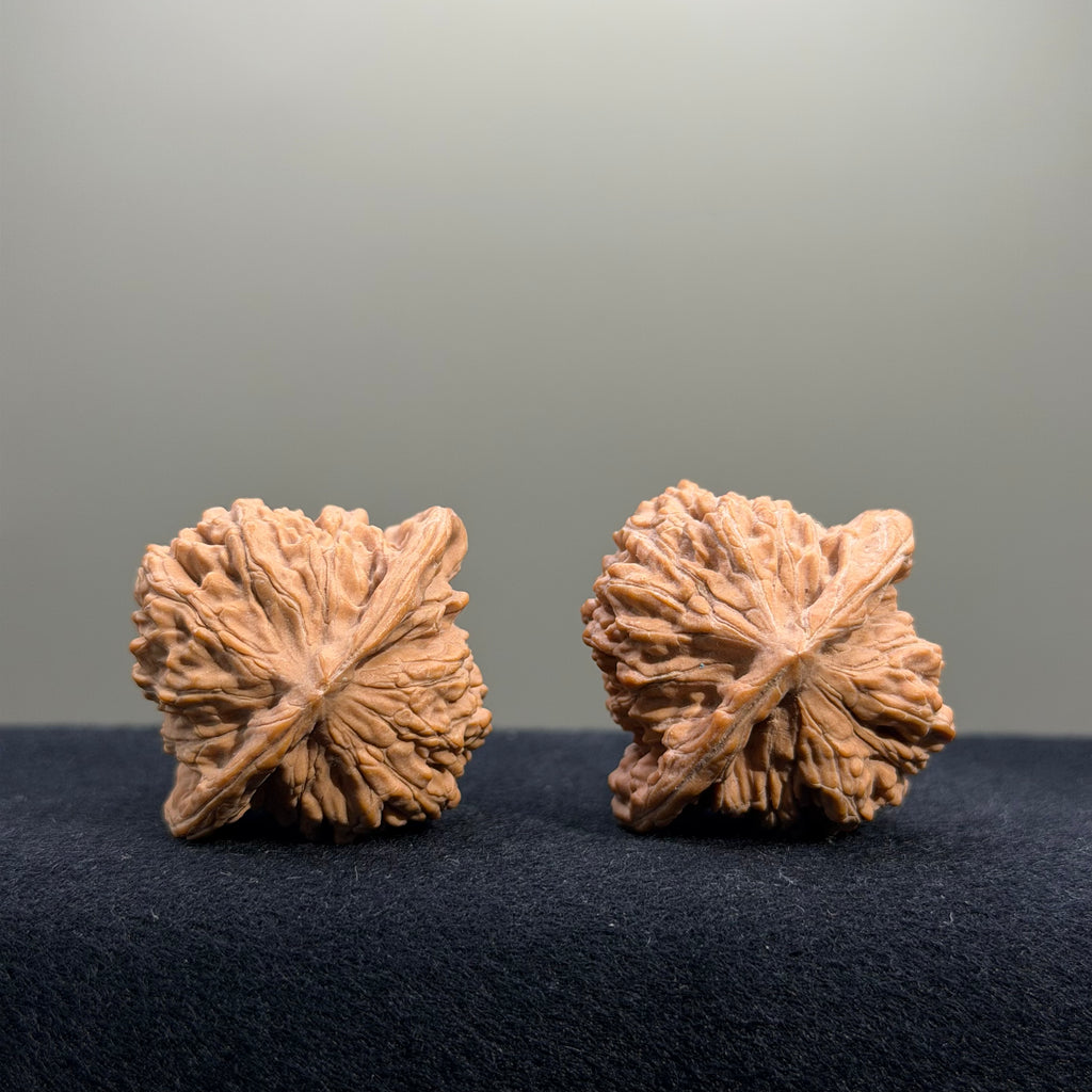 Four Towers Wenwan Walnut · 39mm · Natural · Entry Ritual