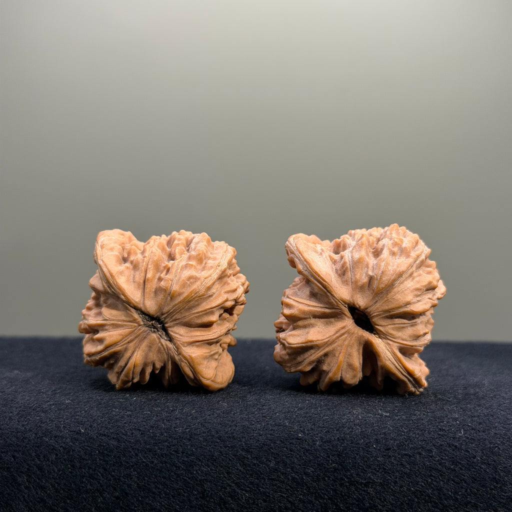 Four Towers Wenwan Walnut · 39mm · Natural · Entry Ritual