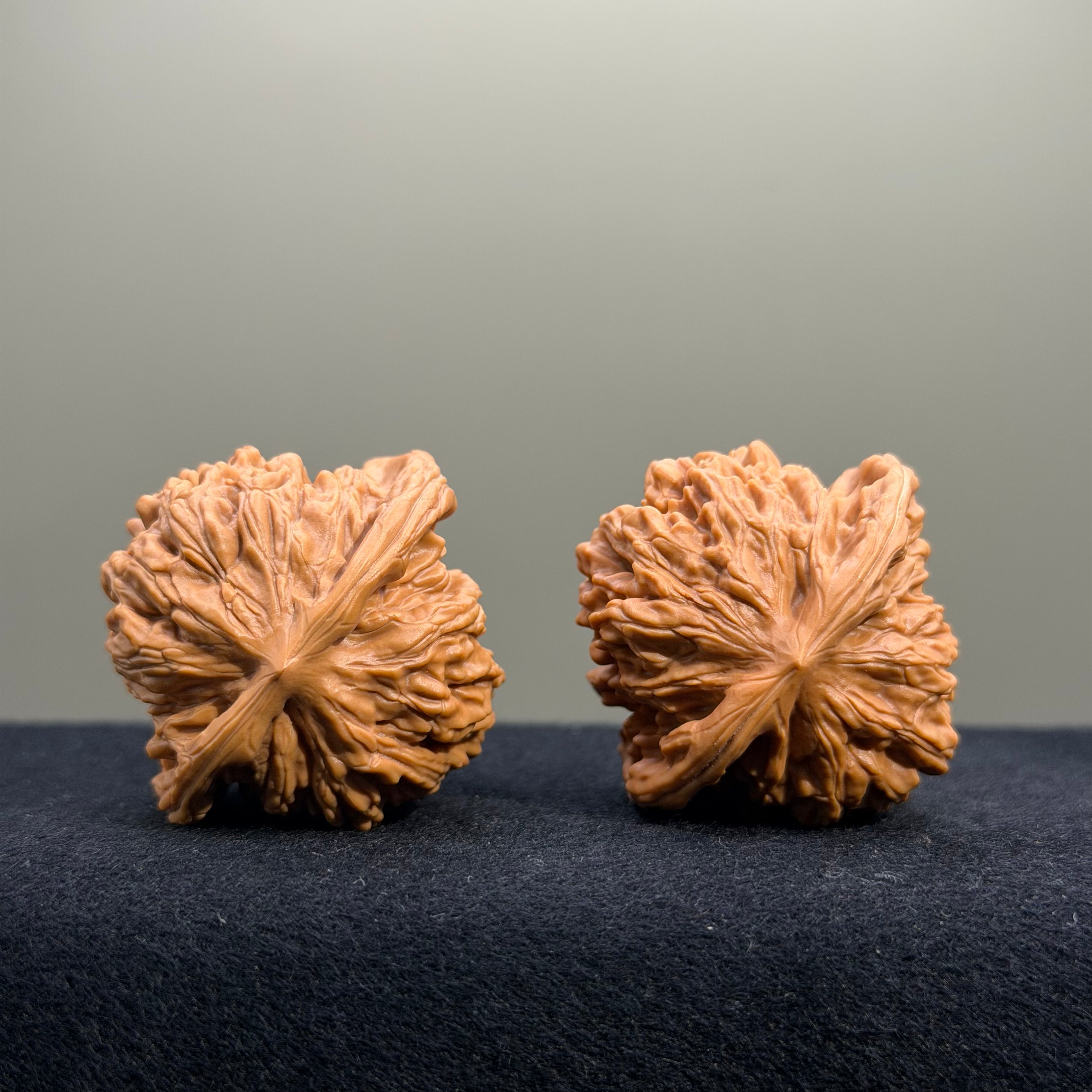 Four Towers Wenwan Walnut · 39mm · Select Ritual