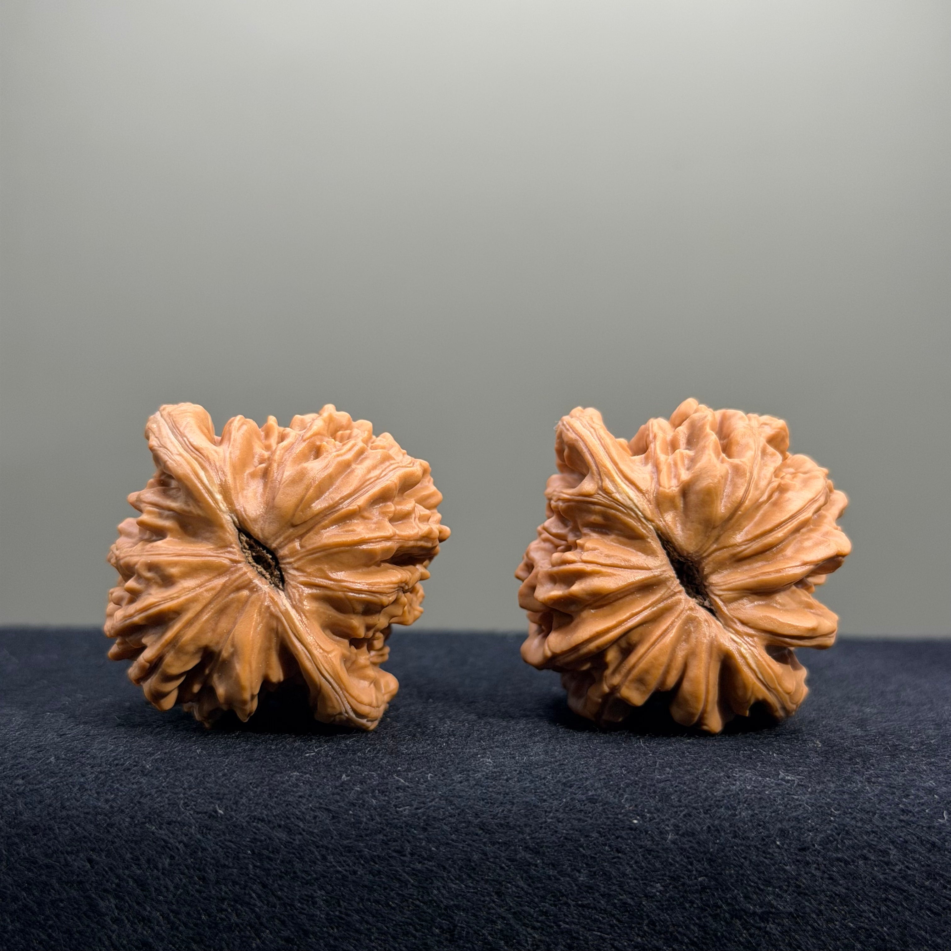 Four Towers Wenwan Walnut · 39mm · Select Ritual
