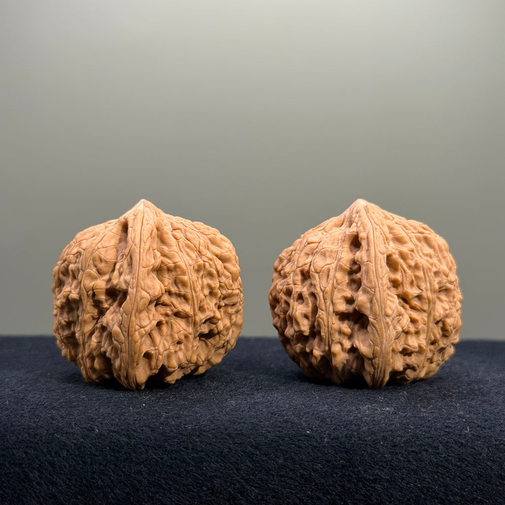 Four Towers Wenwan Walnut · 42mm · Natural · Select Ritual