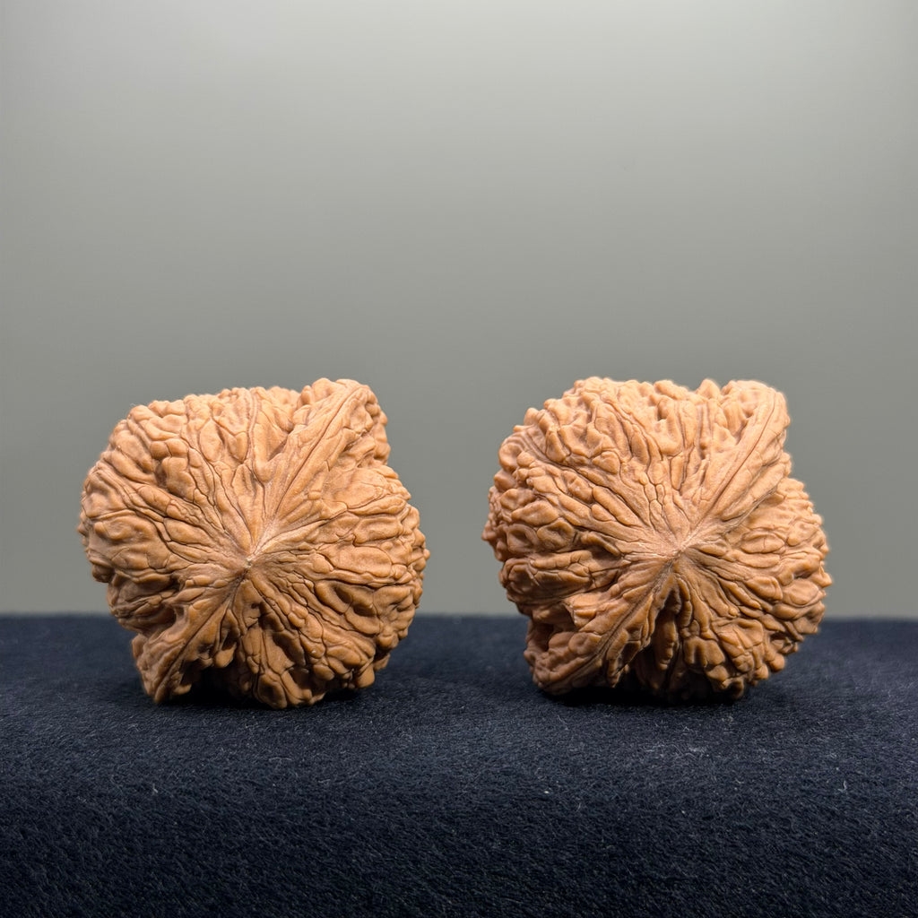 Four Towers Wenwan Walnut · 42mm · Natural · Select Ritual
