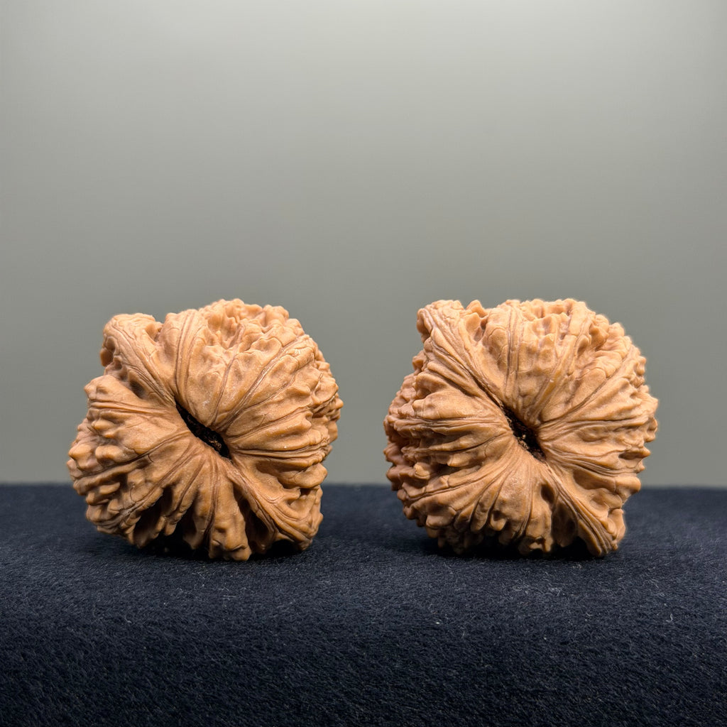 Four Towers Wenwan Walnut · 42mm · Natural · Select Ritual