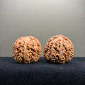 Bold Ridge Wenwan Walnut · 40mm · Natural · Entry Ritual