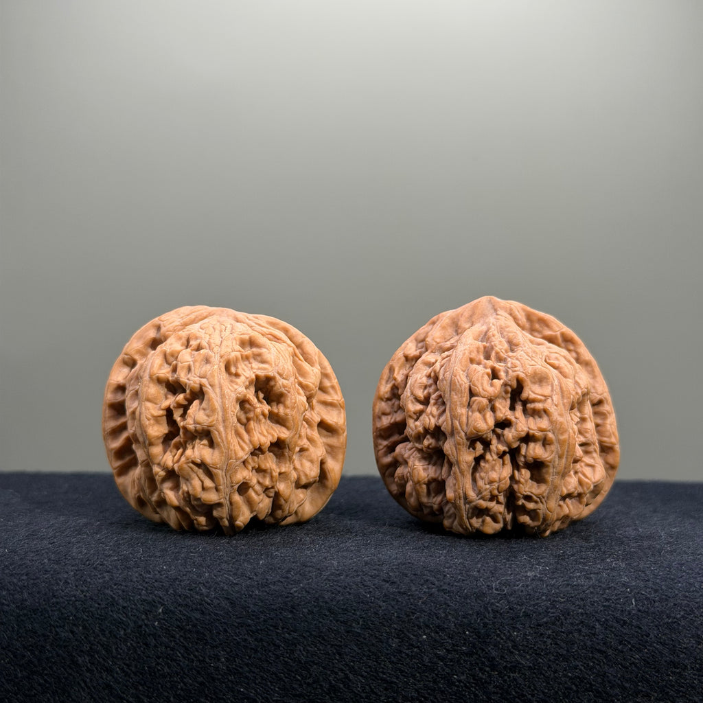 Bold Ridge Wenwan Walnut · 40mm · Natural · Entry Ritual