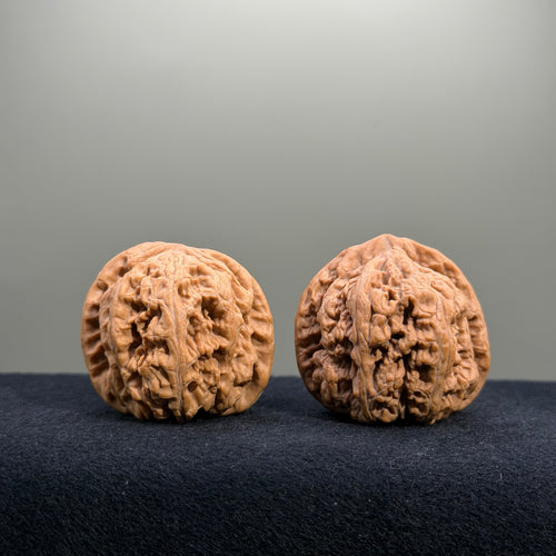 Bold Ridge Wenwan Walnut · 40mm · Natural · Entry Ritual