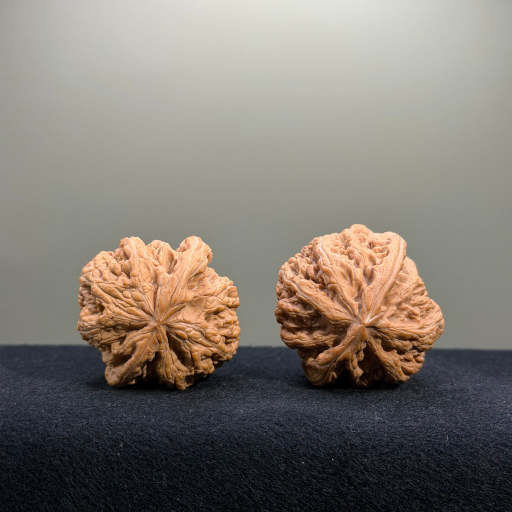 Bold Ridge Wenwan Walnut · 40mm · Natural · Entry Ritual