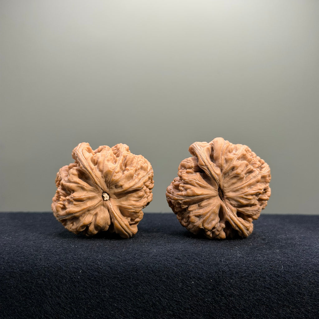 Bold Ridge Wenwan Walnut · 40mm · Natural · Entry Ritual