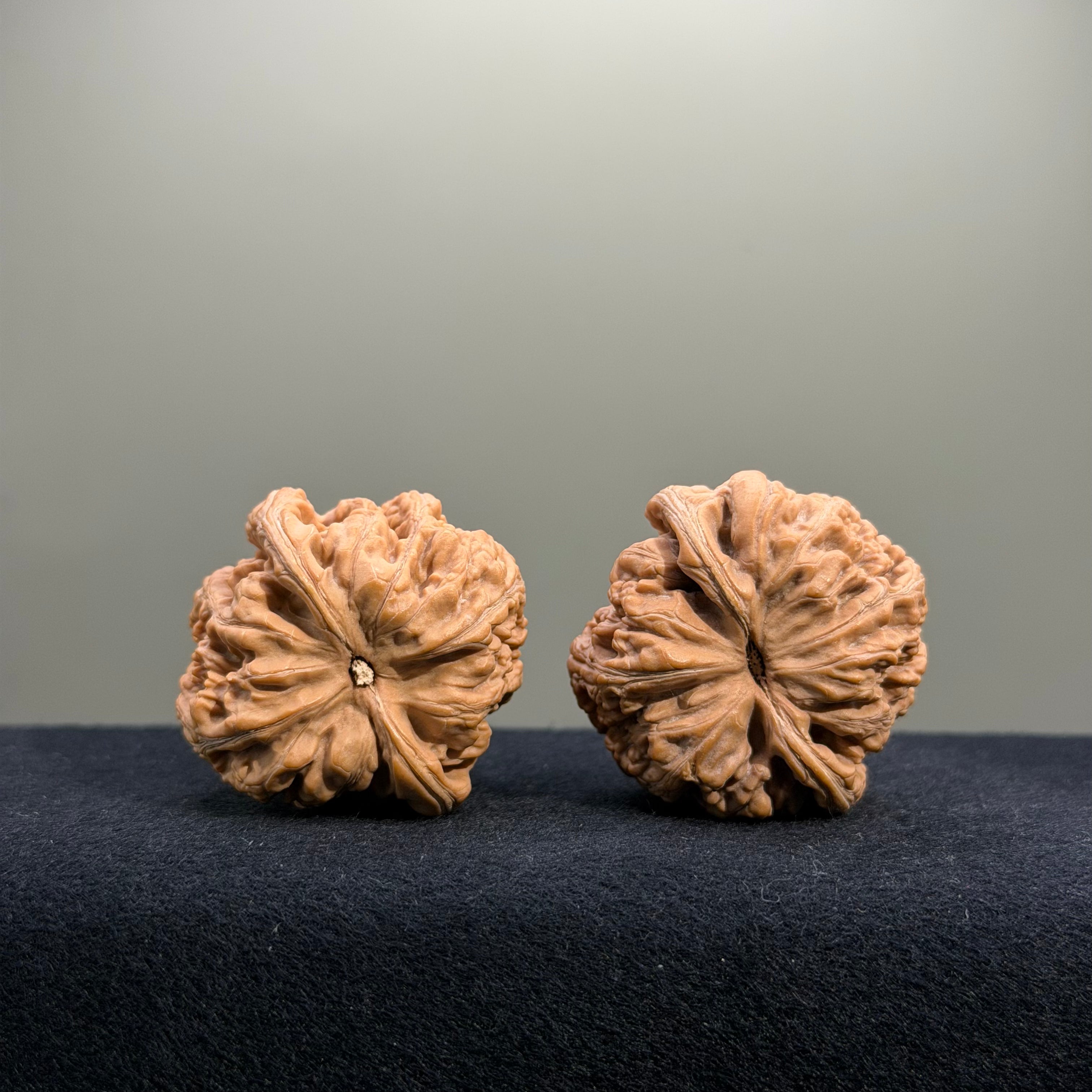 Bold Ridge Wenwan Walnut · 40mm · Natural · Entry Ritual