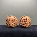 Cowboy Wenwan Walnut · 37mm · Natural · Entry Ritual
