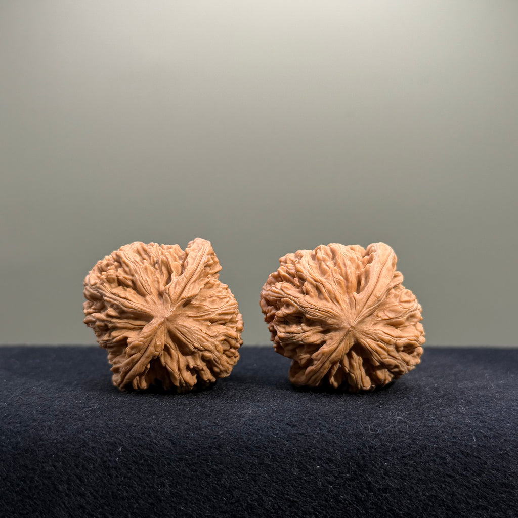 Cowboy Wenwan Walnut · 37mm · Natural · Entry Ritual